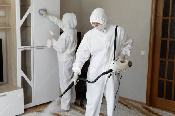 Biohazard Mold Removal in Morton Grove, IL